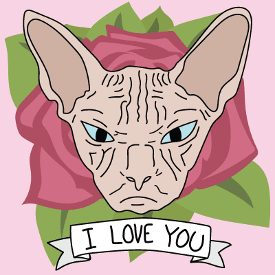 Illustration of a sphynx cat with the text I love you